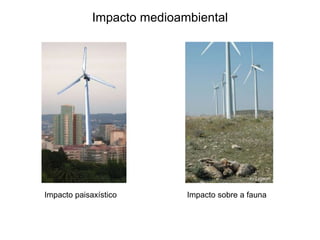 Impacto medioambiental
Impacto paisaxístico Impacto sobre a fauna
 