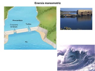Enerxía mareomotriz
 