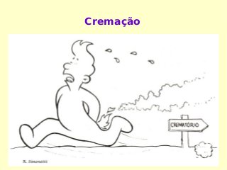 Cremação
 