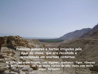 Possuíam pomares e hortos irrigados pela
          água da chuva, que era recolhida e
         armazenada em enormes cisternas.
As refeições eram frugais, com legumes, azeitonas, figos, tâmaras
 e, principalmente, um tipo muito rústico de pão, feito com muito
                        pouco fermento.
 