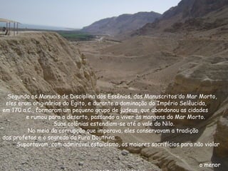 Segundo os Manuais de Disciplina dos Essênios, dos Manuscritos do Mar Morto,
eles eram originários do Egito, e durante a dominação do Império Selêucida,
em 170 a.C., formaram um pequeno grupo de judeus, que abandonou as cidades
e rumou para o deserto, passando a viver às margens do Mar Morto.
Suas colônias estendiam-se até o vale do Nilo.
No meio da corrupção que imperava, eles conservavam a tradição
dos profetas e o segredo da Pura Doutrina.
Suportavam, com admirável estoicismo, os maiores sacrifícios para não violar
o menor
 