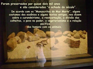 De acordo com os “Manuscritos do Mar Morto”, alguns
costumes dos essênios e alguns textos antigos, nos dizem
sobre o curandeirismo, a reencarnação, a divisão das
colheitas, o povo no poder, o vegetarianismo e a relação
pacífica
dos homens com os animais.
Foram preservados por quase dois mil anos
e são considerados “o achado do século”.
 