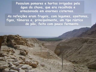 As refeições eram frugais, com legumes, azeitonas,
figos, tâmaras e, principalmente, um tipo rústico
de pão, feito com pouco fermento.
Possuíam pomares e hortos irrigados pela
água da chuva, que era recolhida e
armazenada em enormes cisternas.
 