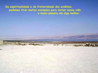 Da espiritualidade e da fraternidade dos essênios,
podemos tirar muitos exemplos para tornar nossa vida
e nosso planeta em algo melhor.
 