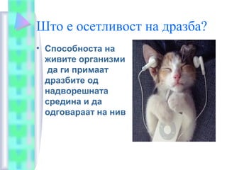 Што е осетливост на дразба?
• Способноста на
живите организми
да ги примаат
дразбите од
надворешната
средина и да
одговараат на нив
 