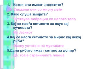 1. Какви очи имаат инсектите?
• Сложени очи со многу леќи
2. Како слуша змијата?
• Чуствува вибрации со целото тело
3. Кај се наоѓа сетилото за вкус кај
кучињата?
• На Јазикот
4.Кај се наога сетилото за мирис кај некој
риби?
• Околу устата и на мустаќите
5.Дали рибите имаат сетило за допир?
• Да, тоа е страничната линија
 