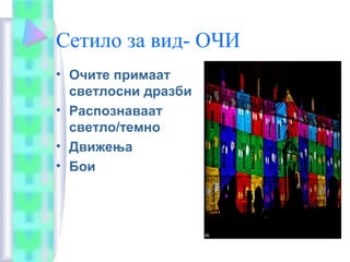 Сетило за вид- ОЧИ
• Очите примаат
светлосни дразби
• Распознаваат
светло/темно
• Движења
• Бои
 