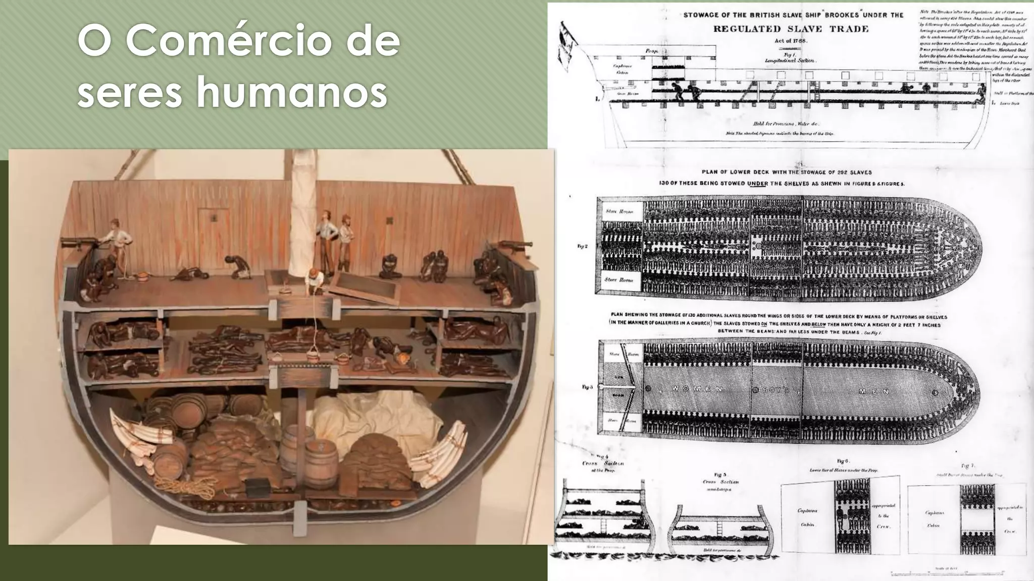 O Comércio de
seres humanos
Condições degradantes,
mortalidade e a “morte social”
do escravo.