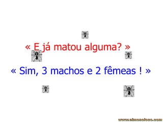 « E já matou alguma? »   « Sim, 3 machos e 2 fêmeas ! » 