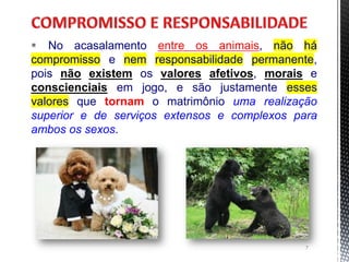  No acasalamento entre os animais, não há
compromisso e nem responsabilidade permanente,
pois não existem os valores afetivos, morais e
conscienciais em jogo, e são justamente esses
valores que tornam o matrimônio uma realização
superior e de serviços extensos e complexos para
ambos os sexos.
7
 