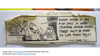 Image	Credit:	“Amino	Acids”	by	Michael	Pereckas,	Flickr.com,	
distributed	under	a	CCBY	2.0	generic	license.
 