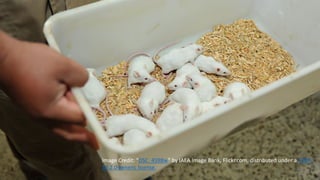 Image	Credit:	“DSC_4598w”	by	IAEA	Image	Bank,	Flickr.com,	distributed	under	a	CCBY-
SA	2.0	generic	license.
 