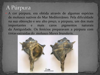  A cor púrpura, era obtida através de algumas espécies 
de molusco nativos do Mar Mediterrâneo. Pela dificuldade 
na sua obtenção e seu alto preço, o púrpura, um dos mais 
importantes e mais caros pigmentos naturais 
da Antiguidade. Os fenícios preparavam a púrpura com 
tintas extraídas do molusco Murex brandaris. 
 