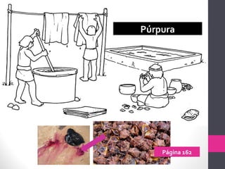 Púrpura
Página 162
 