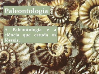 Paleontologia A  Paleontologia é a ciência que estuda os fósseis.  