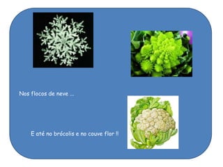 Nos flocos de neve ...




    E até no brócolis e no couve flor !!
 