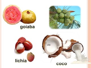 goiabalichiacoco