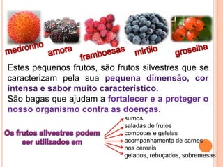 medronhogroselhamirtiloamoraframboesasEstes pequenos frutos, são frutos silvestres que se caracterizam pela sua pequena dimensão, cor intensa e sabor muito característico. São bagas que ajudam a fortalecer e a proteger o nosso organismo contra as doenças.                                    sumos                                      saladas de frutos                                     compotas e geleias                                     acompanhamento de carnes                                     nos cereais                                     gelados, rebuçados, sobremesasOs frutos silvestres podem ser utilizados em