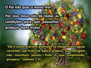 “Ele é como a árvore plantada na margem das águas
correntes: dá fruto na época própria, sua folhagem
não murchará jamais. Tudo o que empreende,
prospera.” (Salmos 1,3)
 