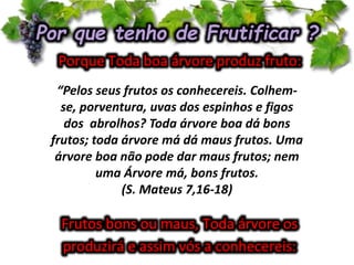 “Pelos seus frutos os conhecereis. Colhem-
se, porventura, uvas dos espinhos e figos
dos abrolhos? Toda árvore boa dá bons
frutos; toda árvore má dá maus frutos. Uma
árvore boa não pode dar maus frutos; nem
uma Árvore má, bons frutos.
(S. Mateus 7,16-18)
 