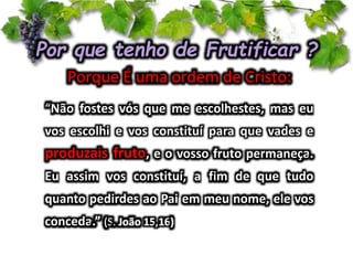 Não fostes vós que me escolhestes, mas eu
vos escolhi e vos constituí para que vades e
produzais fruto, e o vosso fruto permaneça.
Eu assim vos constituí, a fim de que tudo
quanto pedirdes ao Pai em meu nome, ele vos
conceda
 