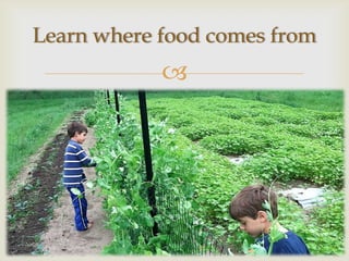 Learn where food comes from
            
 