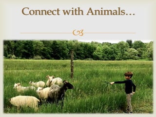 Connect with Animals…

         
 