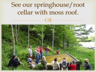 See our springhouse/root
  cellar with moss roof.
          
 