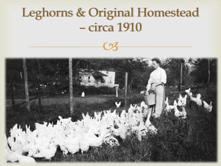 Leghorns & Original Homestead
         – circa 1910
             
 