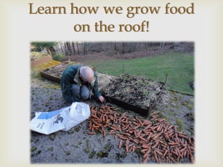 Learn how we grow food
      on the roof!
         
 
