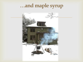 …and maple syrup

      
 