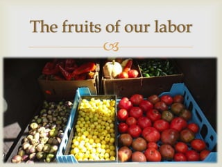 The fruits of our labor
          
 