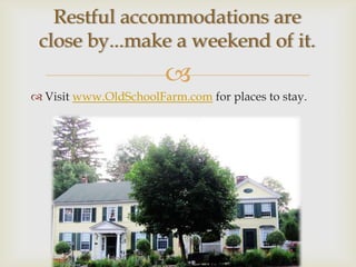 Restful accommodations are
 close by...make a weekend of it.
                       
 Visit www.OldSchoolFarm.com for places to stay.
 