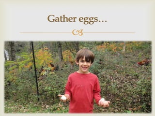 Gather eggs…
    
 