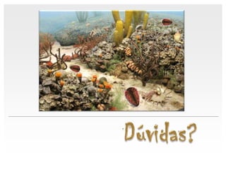 Fósseis e a reconstituição de ambientesFósseis de Idade Viveram durante um curto período de tempo geológico;