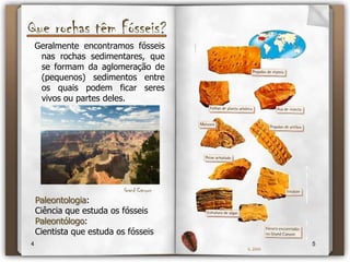 Que rochas têm Fósseis?Geralmente encontramos fósseis nas rochas sedimentares, que se formam da aglomeração de (pequenos) sedimentos entre os quais podem ficar seres vivos ou partes deles.GrandCanyonPaleontologia:Ciência que estuda os fósseisPaleontólogo:Cientista que estuda os fósseis 45IL 2009