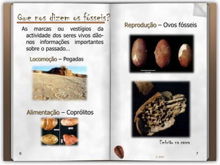 Que nos dizem os fósseis?Reprodução – Ovos fósseisAs marcas ou vestígios da actividade dos seres vivos dão-nos informações importantes sobre o passado…Locomoção– PegadasAlimentação – CoprólitosEmbrião na casca67IL 2009