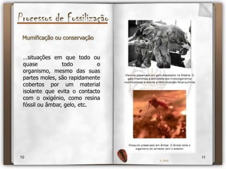  Evitar a exposição a agentes erosivosObserva…89IL 2009