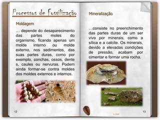 Processos de FossilizaçãoMumificação ou conservação…situações em que todo ou quase todo o organismo, mesmo das suas partes moles, são rapidamente cobertos por um material isolante que evita o contacto com o oxigénio, como resina fóssil ou âmbar, gelo, etc.1011IL 2009