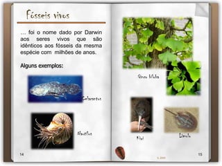 Processos de FossilizaçãoMineralizaçãoMoldagem…consiste no preenchimento das partes duras de um ser vivo por minerais, como a sílica e a calcite. Os minerais, devido a elevadas condições de pressão, acabam por cimentar e formar uma rocha. … depende do desaparecimento das partes moles do organismo, ficando apenas um molde interno ou molde externo, nos sedimentos, das suas partes duras, como por exemplo, conchas, ossos, dentes, caules ou nervuras. Podem ainda formar-se contra moldes dos moldes externos e internos.1213IL 2009