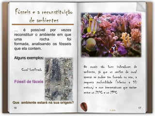 Fósseis vivos… foi o nome dado por Darwin aos seres vivos que são idênticos aos fósseis da mesma espécie com  milhões de anos.Alguns exemplos:GincobilobaCelacantosNautilusLimuloKiwi1415IL 2009