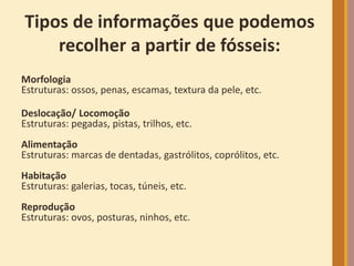 Tipos de informações que podemos
recolher a partir de fósseis:
Morfologia
Estruturas: ossos, penas, escamas, textura da pele, etc.
Deslocação/ Locomoção
Estruturas: pegadas, pistas, trilhos, etc.
Alimentação
Estruturas: marcas de dentadas, gastrólitos, coprólitos, etc.
Habitação
Estruturas: galerias, tocas, túneis, etc.
Reprodução
Estruturas: ovos, posturas, ninhos, etc.
 