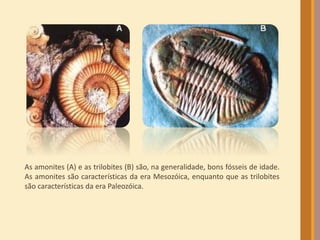 As amonites (A) e as trilobites (B) são, na generalidade, bons fósseis de idade.
As amonites são características da era Mesozóica, enquanto que as trilobites
são características da era Paleozóica.
 