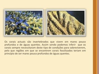 Os corais actuais são invertebrados que vivem em mares pouco
profundos e de águas quentes. Assim sendo podemos inferir que os
corais sempre necessitaram deste tipo de condições para sobreviverem,
pelo que regiões em que se encontrem corais fossilizados teriam em
princípio de ser mares pouco profundos de águas quentes.
 