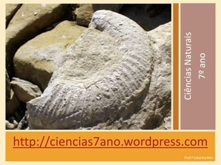 http://ciencias7ano.wordpress.com
Prof.ª Catarina Reis
CiênciasNaturais
7ºano
 