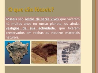 Fósseis são restos de seres vivos que viveram
há muitos anos no nosso planeta, ou ainda,
vestígios da sua actividade, que ficaram
preservados em rochas ou noutros materiais
naturais.
O que são fósseis?
 