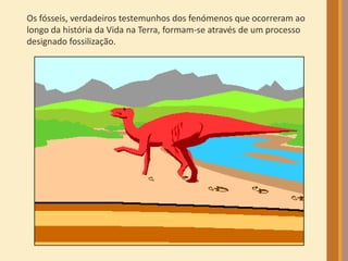 Os fósseis, verdadeiros testemunhos dos fenómenos que ocorreram ao
longo da história da Vida na Terra, formam-se através de um processo
designado fossilização.
 