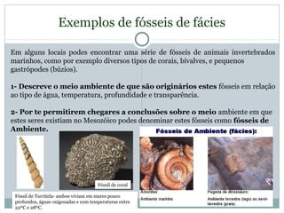 Exemplos de fósseis de fácies
Em alguns locais podes encontrar uma série de fósseis de animais invertebrados
marinhos, como por exemplo diversos tipos de corais, bivalves, e pequenos
gastrópodes (búzios).
1- Descreve o meio ambiente de que são originários estes fósseis em relação
ao tipo de água, temperatura, profundidade e transparência.
2- Por te permitirem chegares a conclusões sobre o meio ambiente em que
estes seres existiam no Mesozóico podes denominar estes fósseis como fósseis de
Ambiente.
Fóssil de Turritela- ambos viviam em mares pouco
profundos, águas oxigenadas e com temperaturas entre
22ºC e 28ºC.
Fóssil de coral
 