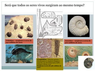 Será que todos os seres vivos surgiram ao mesmo tempo?
Trilobites – surgiram à cerca de
542 milhões de anos.
Graptólitos –Oktavites spiralis e
Monograptus cf. singularis (imagem à
esquerda, x2); Normalograptus trifilis
(imagem à direita, x5,5)
Surgiram à cerca de 480 milhões de
anos .
Amonites – surgiram à cerca de
400 milhões de anos.
 