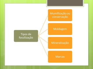 Mumificação ou
                conservação


                 Moldagem
  Tipos de
fossilização
               Mineralização



                  Marcas
 